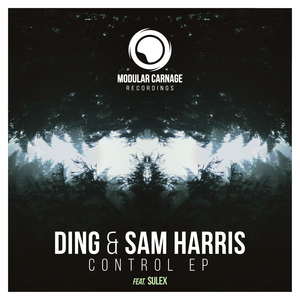 DING & SAM HARRIS - Control