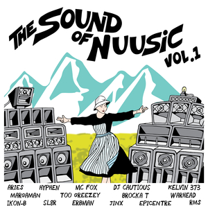 VARIOUS - The Sound Of Nuusic Vol 1
