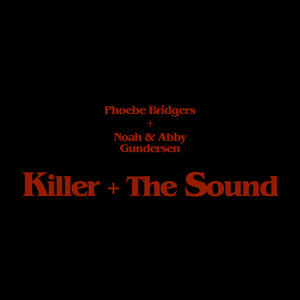 phoebe bridgers killer download