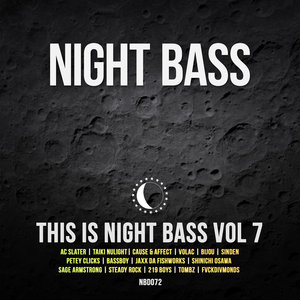 VARIOUS - This Is Night Bass Vol 7