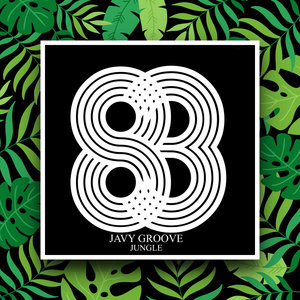 JAVY GROOVE - Jungle