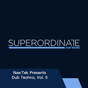 VARIOUS/NAE:TEK - Nae:Tek Presents: Dub Techno Vol 5