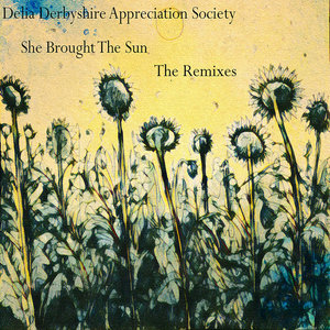 DELIA DERBYSHIRE APPRECIATION SOCIETY - She Brought The Sun (The Remixes)