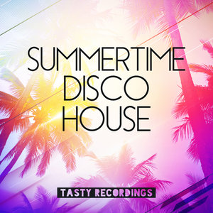 VARIOUS - Summertime Disco House