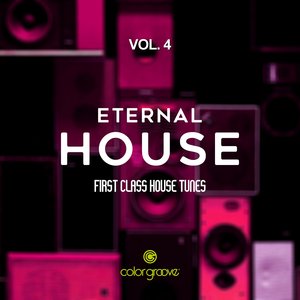 VARIOUS - Eternal House Vol 4 (First Class House Tunes)