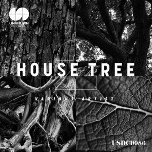VARIOUS - House Tree 2