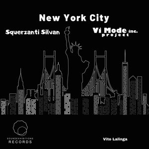 Vito Lalinga (vi Mode Inc Project) - New York City