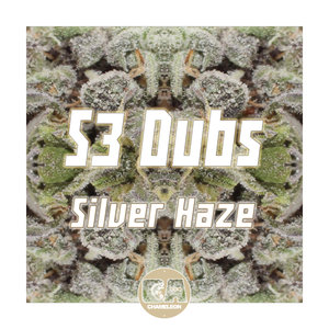 S3 DUBS - Silver Haze