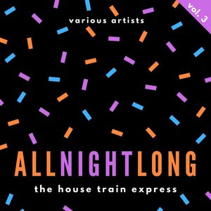 VARIOUS - All Night Long (The House Train Express) Vol 3