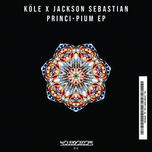 sebastian kole soup free mp3 download