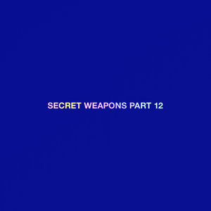 VARIOUS - Secret Weapons Part 12