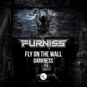 Furniss - Fly On The Wall