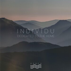 INDIVIDU - Dedicated To The Home