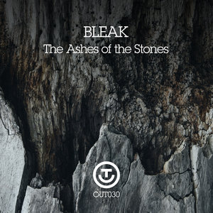 BLEAK - The Ashes Of The Stones