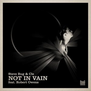 STEVE BUG & CLE feat ROBERT OWENS - Not In Vain