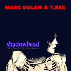 Shadowhead A Collection Of Session Takes Working Master Versions Mixes By Marc Bolan T Rex On Mp3 Wav Flac Aiff Alac At Juno Download