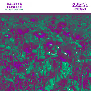 GALATEA - Flowers