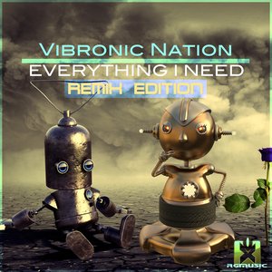 VIBRONIC NATION feat DEBBIAH - Everything I Need (Remix Edition)