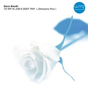 DARIO BIANKI - To Rip In Job's Deep Trip (JDstreams Remix)