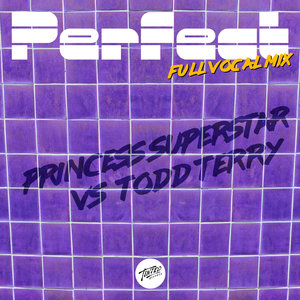 PRINCESS SUPERSTAR & TODD TERRY - Perfect (Todd Terry Full Vocal Remix)