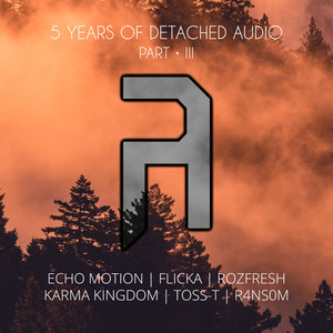VARIOUS - 5 Years Of Detached Audio: Part 3