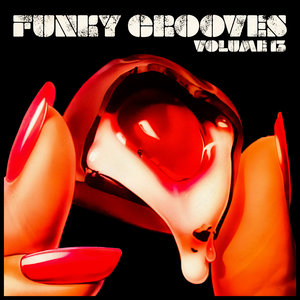 HANSI - Funky Grooves Vol 13
