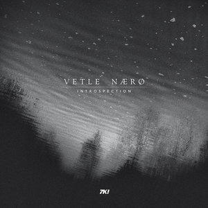 VETLE NAERO - Introspection