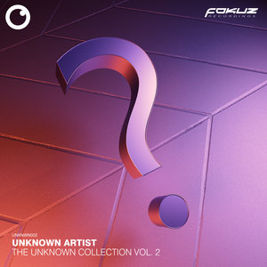 UNKNOWN ARTIST - The Unknown Collection Vol 2