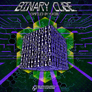 VARIOUS - Binary Cube