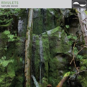Rivulets by Music MP3, WAV, AIFF & ALAC at Juno Download