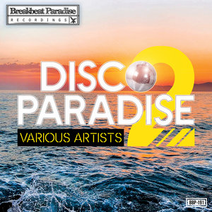 VARIOUS - Disco Paradise Vol 2