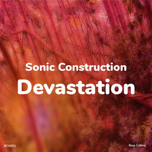 SONIC CONSTRUCTION - Devastation