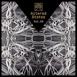 VARIOUS - Sinchi - Altered States Vol 4