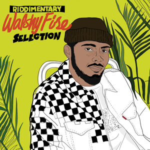 VARIOUS - Walshy Fire: Riddimentary Selection