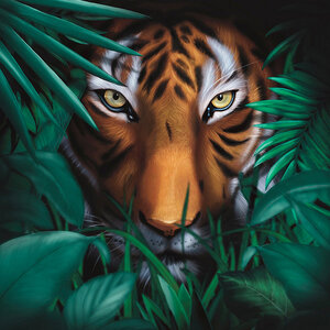 A VISION OF PANORAMA - Unique Tiger