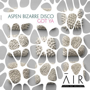 Aspen Bizarre Disco - Got Ya (Original Mix)