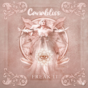 Freak It By Canabliss On Mp3 Wav Flac Aiff Alac At Juno Download