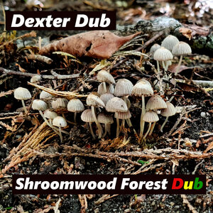 Dexter Dub - Shroomwood Forest Dub