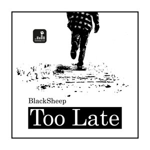 BlackSheep - Too Late (Black Soul Mix)