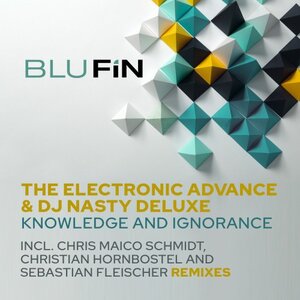 THE ELECTRONIC ADVANCE/DJ NASTY DELUXE - Knowledge & Ignorance (Remixes)