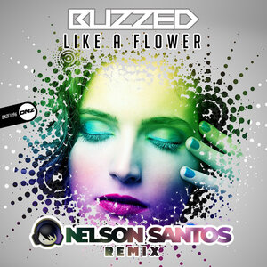 Buzzed - Like A Flower (Nelson Santos Remix)