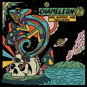 One Culture/Mellodose - Chameleon