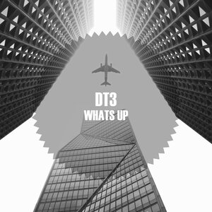 DT3 - Whats Up