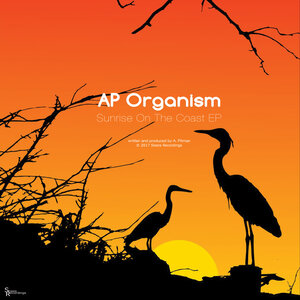 AP Organism - Sunrise On The Coast