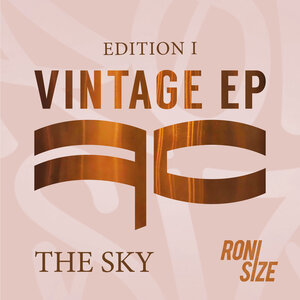 Roni Size - The Sky