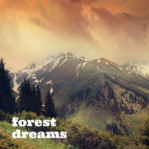 Forest by Forest Dreams MP3, WAV, FLAC, AIFF & ALAC at Download