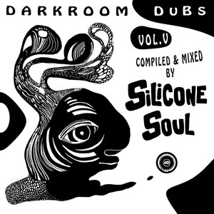SILICONE SOUL/VARIOUS - Darkroom Dubs Vol V (unmixed tracks)
