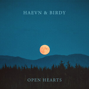 pork Email under Open Hearts by HAEVN/Birdy on MP3, WAV, FLAC, AIFF & ALAC at Juno Download