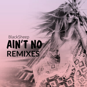 BlackSheep - Ain't No (Remixes)