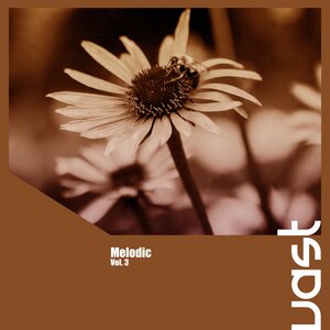 Various - Melodic Vol 3